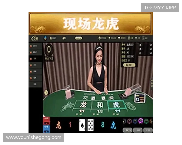 亚星游戏官网登录方式详解，轻松掌握多种登录途径，确保账号安全稳定